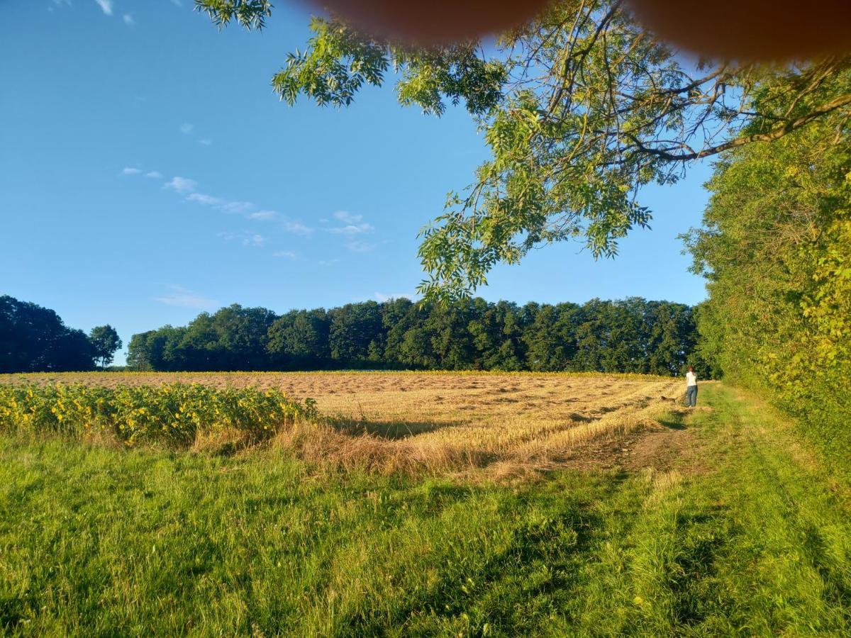 Haus Ringgau - Urlaub, Gemeinschaft Und Erlebnis Im Herzen Von Deutschland Herleshausen Kültér fotó