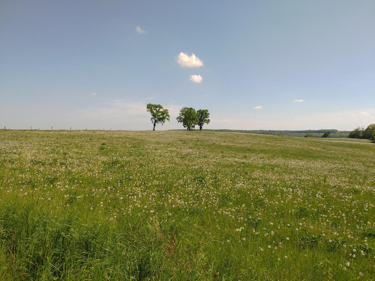 Haus Ringgau - Urlaub, Gemeinschaft Und Erlebnis Im Herzen Von Deutschland Herleshausen Kültér fotó