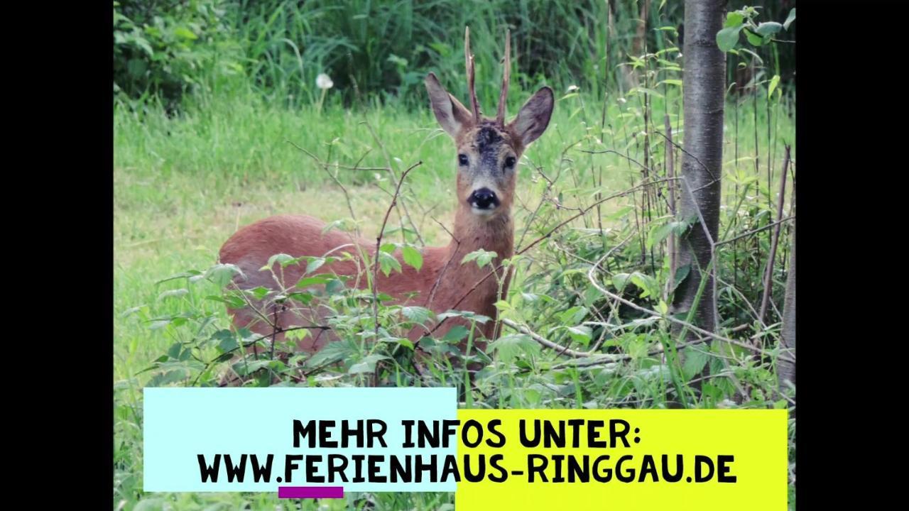 Haus Ringgau - Urlaub, Gemeinschaft Und Erlebnis Im Herzen Von Deutschland Herleshausen Kültér fotó
