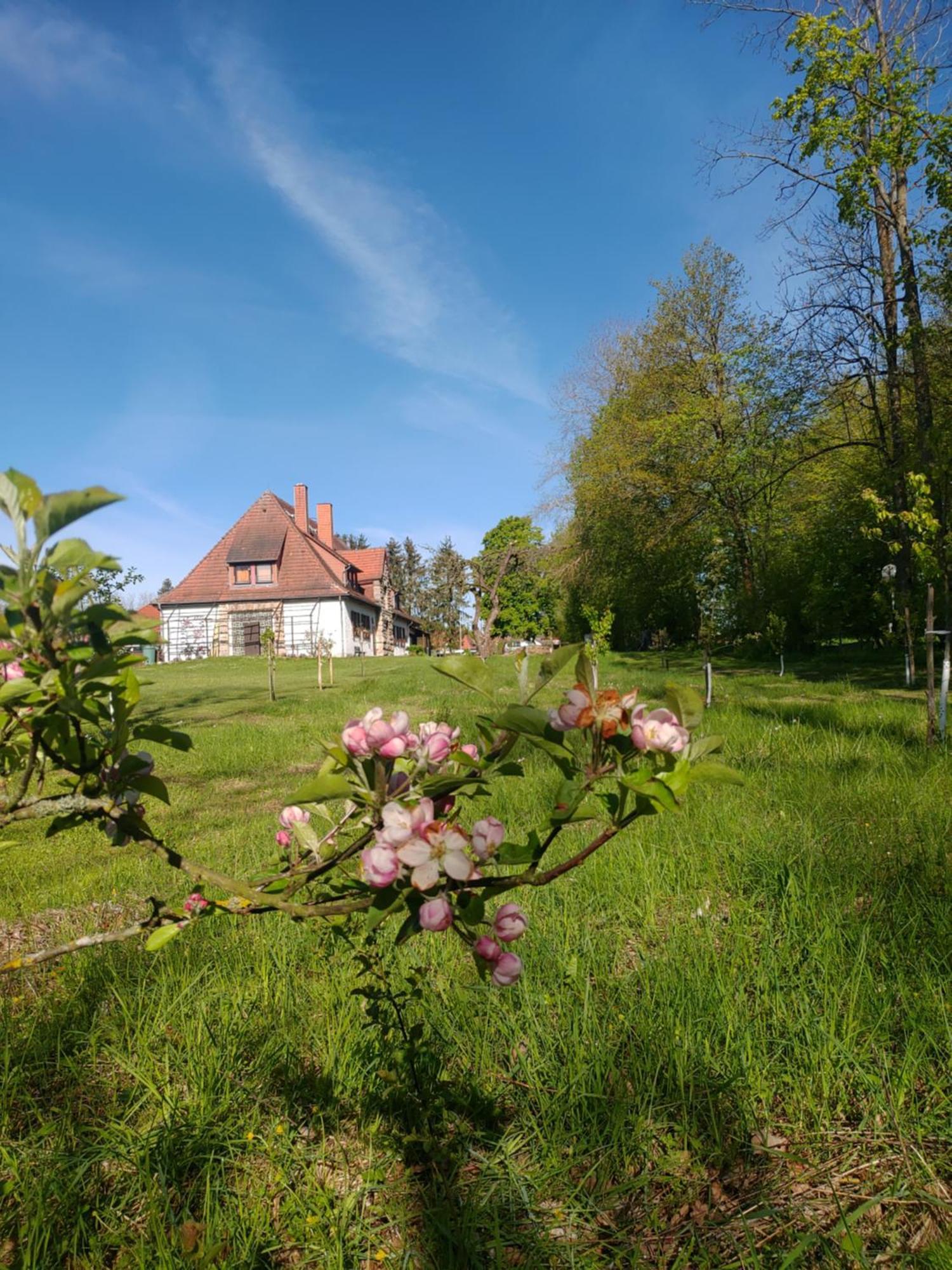 Haus Ringgau - Urlaub, Gemeinschaft Und Erlebnis Im Herzen Von Deutschland Herleshausen Kültér fotó
